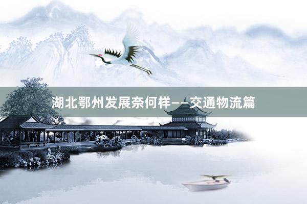 湖北鄂州发展奈何样——交通物流篇